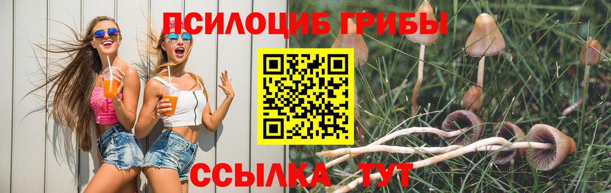 Псилоцибиновые грибы мицелий  купить наркотики цена  Галлюциногенные грибы Magic Shrooms  Ликино-Дулёво  Вход с VPN 